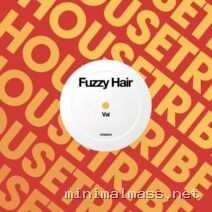 Fuzzy Hair – Vai cover