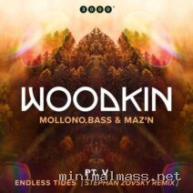 Mollono.Bass, MAZ’N, WOODKIN – Endless Tides (Stephan Zovsky Remix) cover