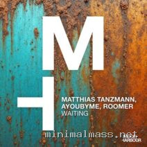 Matthias Tanzmann, AYOUBYME, Roomer – Waiting cover