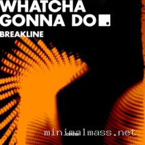 Breakline – Whatcha Gonna Do cover