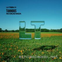 Tannous – No Digas Nada cover