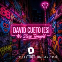 David Cueto (ES) – No Sleep Tonight cover