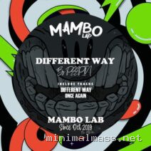 Peepin – Different Way cover