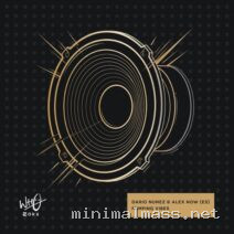 Dario Nunez, Alex Now (ES) – Pumping Vibes cover