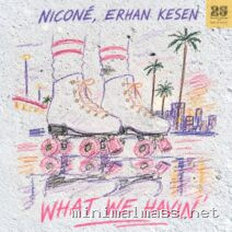Nicone, Erhan Kesen – What We Havin’ cover