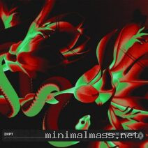 DVPT – Private Matters cover