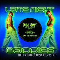 MALARKEY, Gaskin, Tom Did It – Late Night Baddies cover