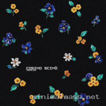 Cosimo Scimo – Vocalis cover