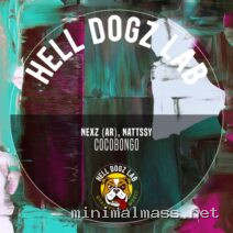 NATTSSY, Nexz (AR) – CocoBongo cover