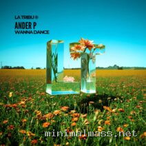 Ander P – Wanna Dance cover