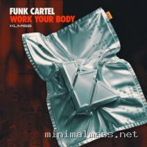 Funk Cartel – Work Your Body cover