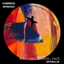 Gabriele Intrivici – Optimal cover