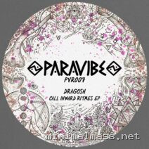 Dragosh – Call Inward Ritme cover