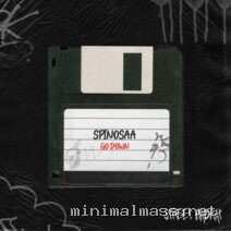 Spinosaa – Go Down (Extended Mix) cover
