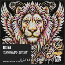 Gcina – Subsurface Motion cover