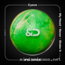 Cyava – My Head – Never – Shake It cover
