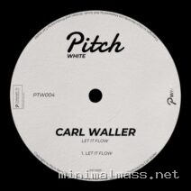 Carl Waller – Let It Flow cover