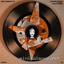 ORANGE PROJECT (US) – NEED SOMEBODY cover