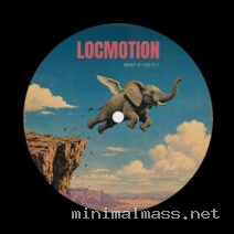 Locmotion – What If You Fly cover