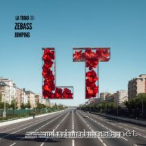 ZeBass – Jumping cover