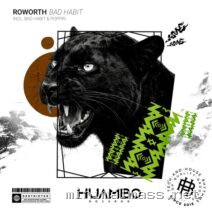 Roworth – Bad Habit cover
