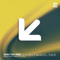 Rizzo (Col), Carduss, Riiox – What You Need cover