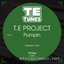 T.E Project – Pumpin (Original Mix) cover