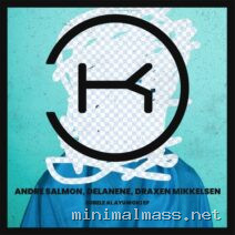 Andre Salmon, Delanene, Draxen Mikkelsen – Subele Al Ayuwoki cover