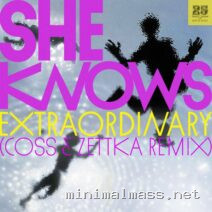 She Knows – Extraordinary (coss x Zettka Remix) cover