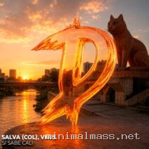 Salva (COL), VNUS – Si sabe Cali cover