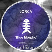 Jorca – Blue Morpho cover