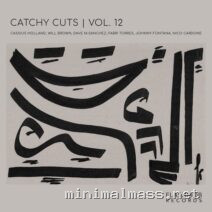 VA – Catchy Cuts, Vol. 12 cover