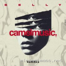 Hammes – Belly cover