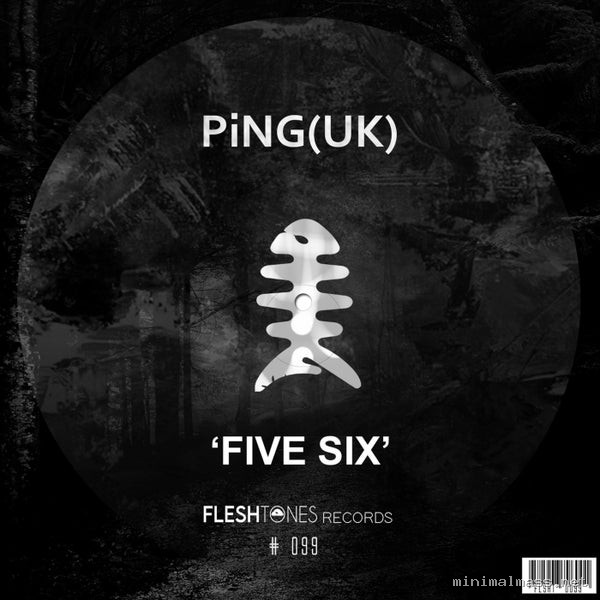 PiNG (UK) - Five Six [Fleshtones]