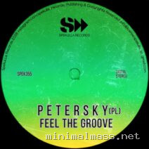 Petersky (PL) – Feel The Groove cover