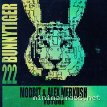 MODBIT, Alex Merkush – Future cover