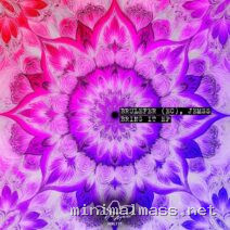 Jemss, Brulefer (EC) – Bring It EP cover