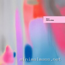 William Arist, Yesca – Paint on Walls cover