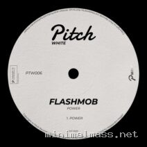 Flashmob – Power cover