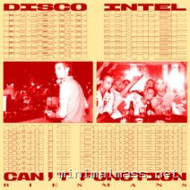Biesmans – Disco Intel _ Can’t Function cover