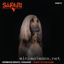 Hermann Bravo, Vegaans – Right To The Flow cover