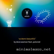 Dave Seaman, Poloroid – So Damn Beautiful cover