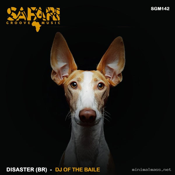 Disaster (BR) - Dj Of The Baile [Safari Groove Music]